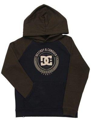 Smashed PH Raglan Hoodie Boys